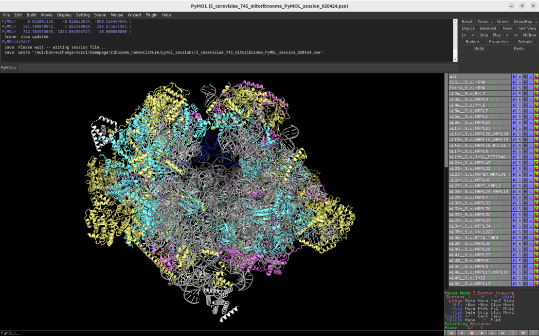 Screenshot of the Pymol session depicting the fungal 74S mitoribosome