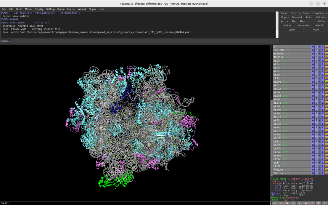Screenshot of the Pymol session depicting the chloroplast 70S ribosome
